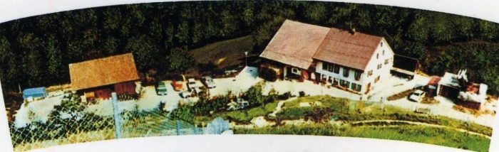 FIGU 1981.jpg