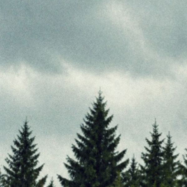 File:CR935 Image15.jpg