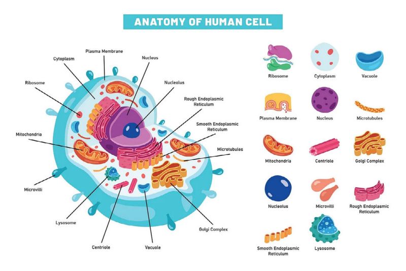 File:SESOTT192 Image11.jpg