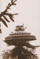 Quetzal's ship on top of a tree.