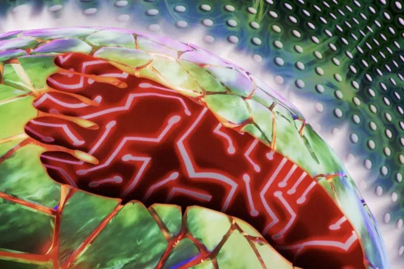 File:SESOTT194 Image2.jpg