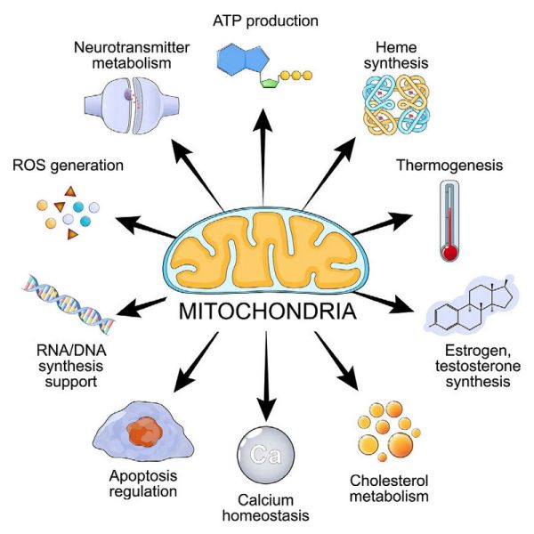 File:SESOTT192 Image14.jpg