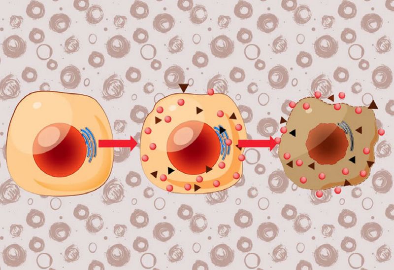 File:SESOTT192 Image12.jpg