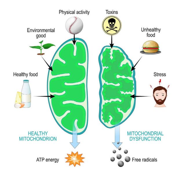 File:SESOTT192 Image13.jpg